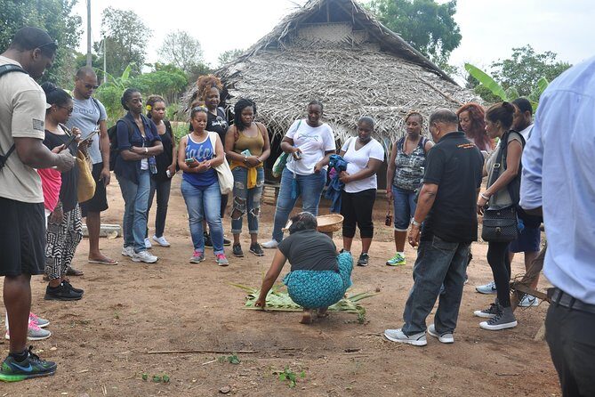 Sigiriya Rock and Village Tour from Negombo - The Itinerary in Detail