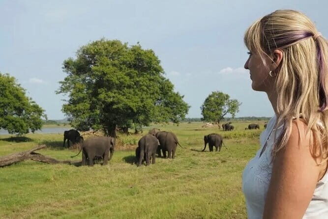 Sigiriya Rock Dambulla Cave and Village Tour From Trincomalee - Considerations for Travelers