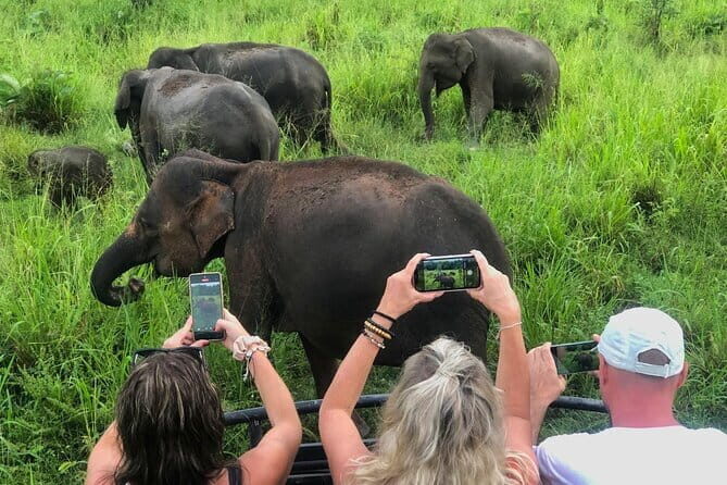 Sigiriya Rock, Village Tour and Wild Elephant Safari Sri Lanka - Engaging Meta Description  