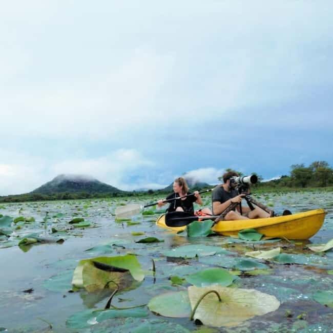 Sigiriya: Sunrise or Sunset Kayaking Tour - Key Points