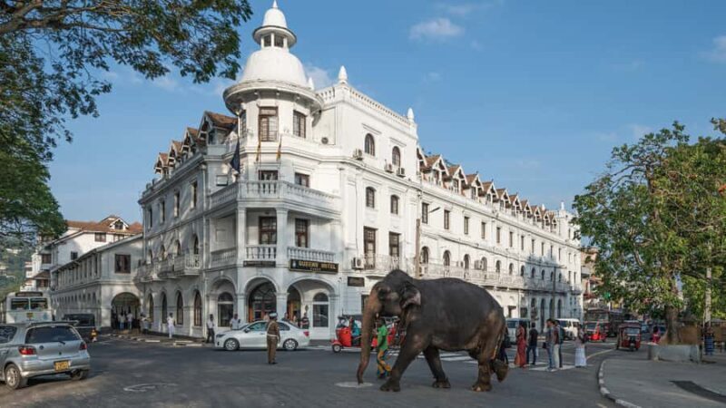 Sigiriya to Ella Scenic Train Transfer with Kandy Sightseein - Key Points