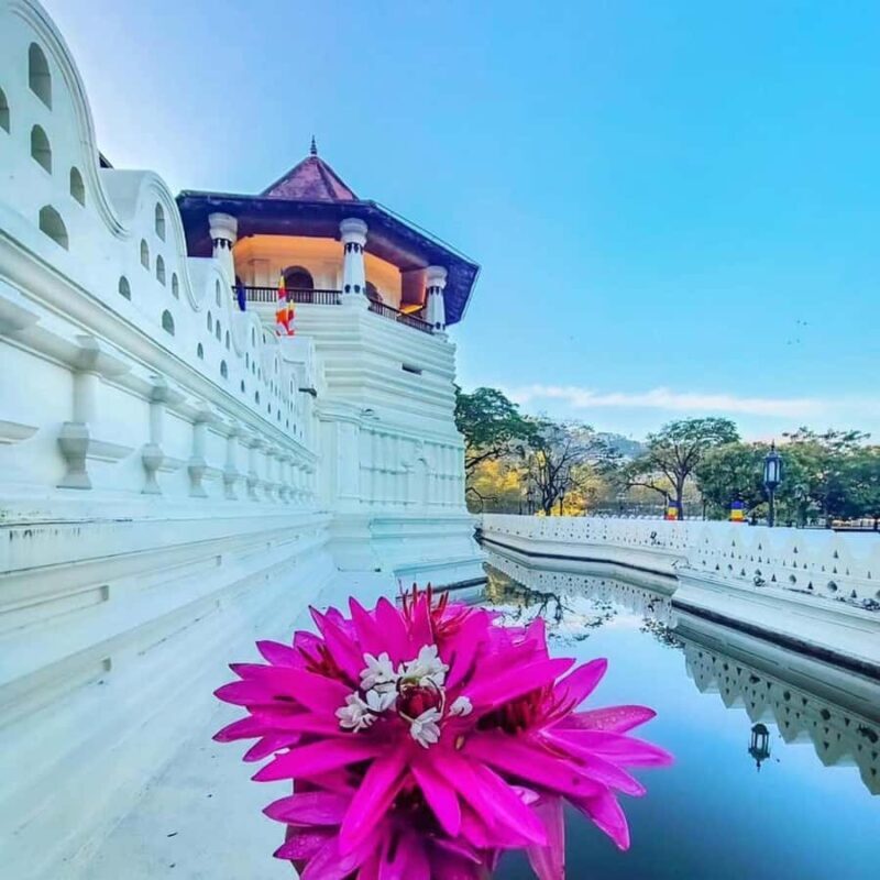 Sigiriya to Kandy Sightseeing Transfer - The Journey Begins: Sigiriya to Kandy