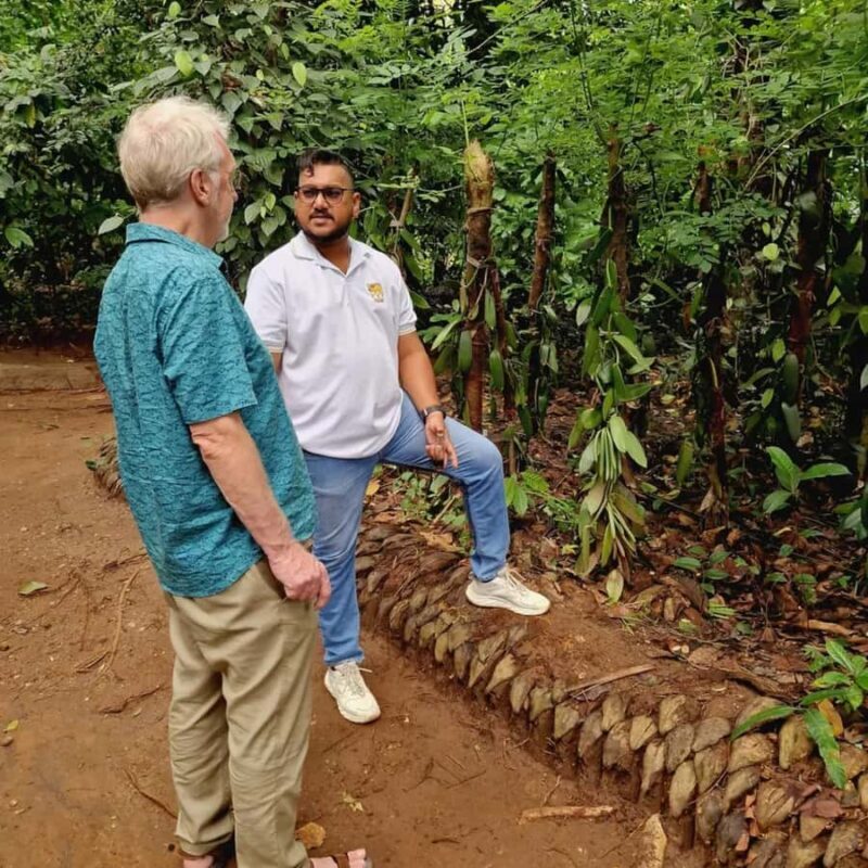 Sigiriya to Kandy Sightseeing Transfer - The Scenic Return to Kandy