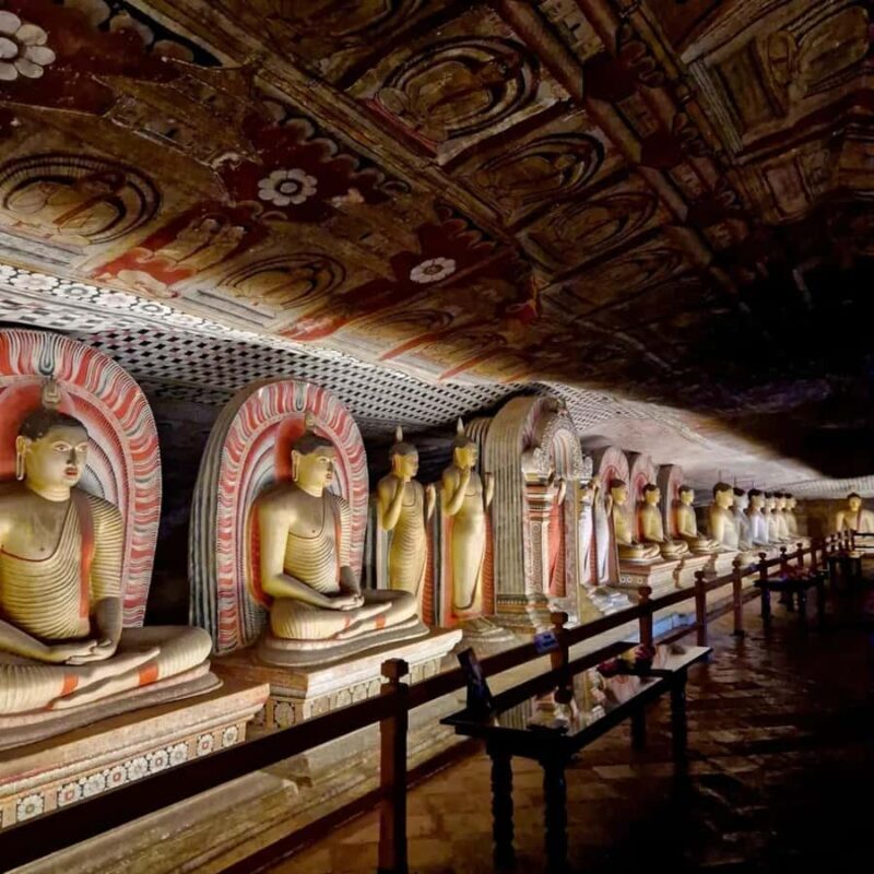 Sigiriya to Kandy Sightseeing Transfer - Who Would Love This?