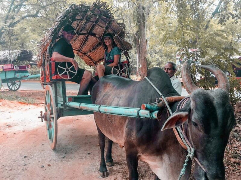 sigiriya-village-tour-and-lunch