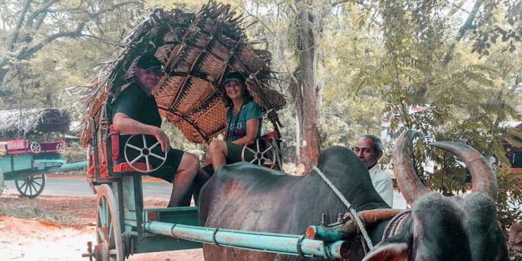 sigiriya-village-tour-and-lunch