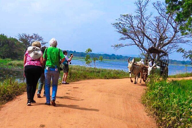 Sigiriya Village Tour from Habarana - What to Expect from the Sigiriya Village Tour