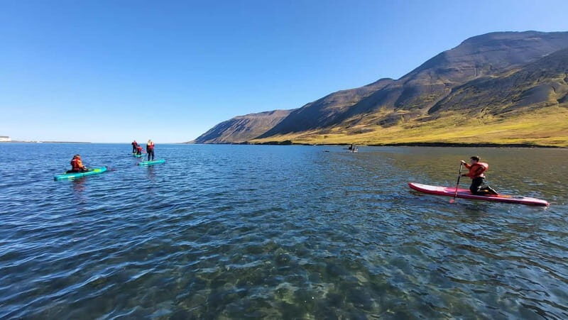 Siglufjörður: Private Guided SUP Tour - Why Choose the Siglufjörður SUP Tour?