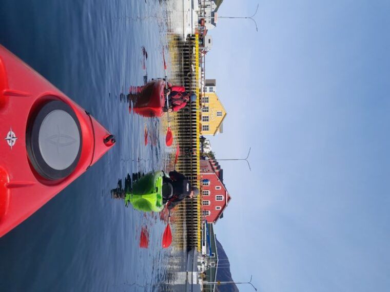 siglufjordur-siglufjordur-guided-kayak-tour