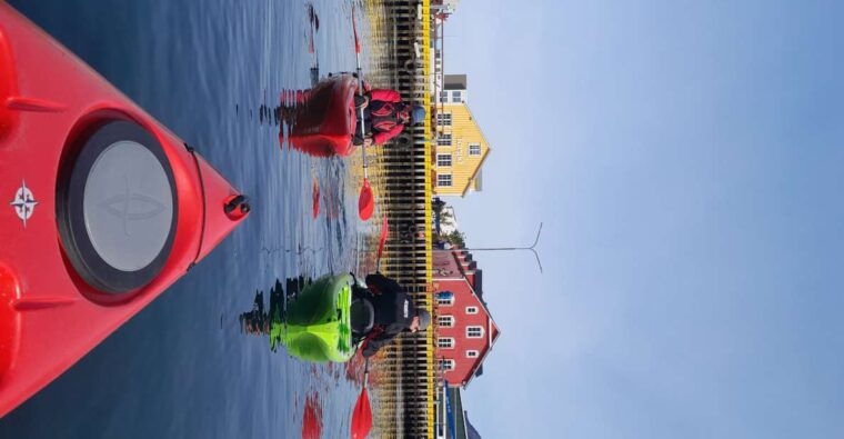 siglufjordur-siglufjordur-guided-kayak-tour