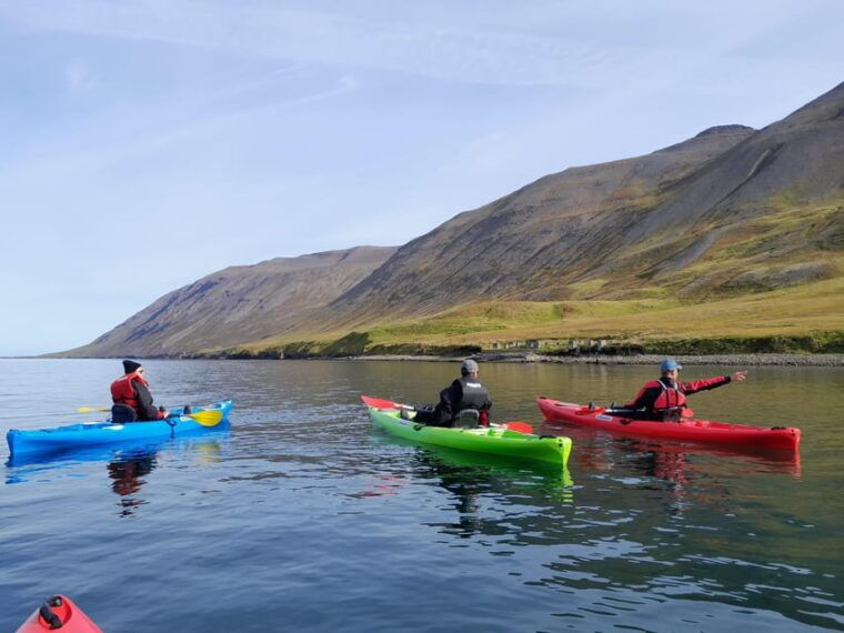 siglufjordur-siglufjordur-private-guided-kayak-tour