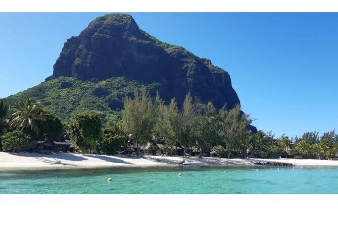 Signature Experience: Dolphins and Flavors of the Sea - The Perfect Day Out in Mauritius: A Deep Dive