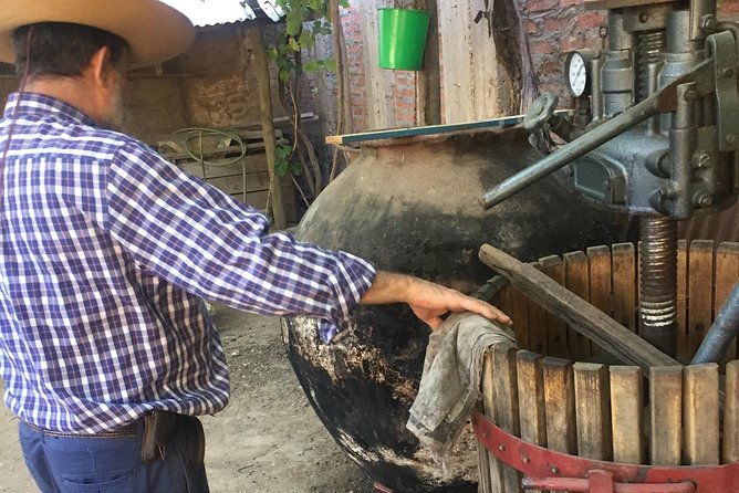 signature-vineyard-exclusive-tour-with-certificated-sommelier