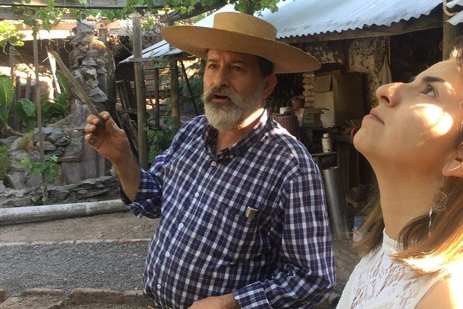 signature-vineyard-exclusive-tour-with-certificated-sommelier