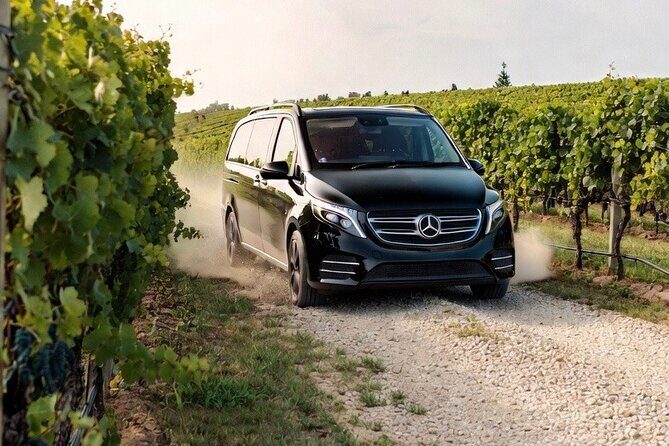 Signature Wine Tour Napier 4 Wineries Cheese and Luxury Vehicle - Introduction