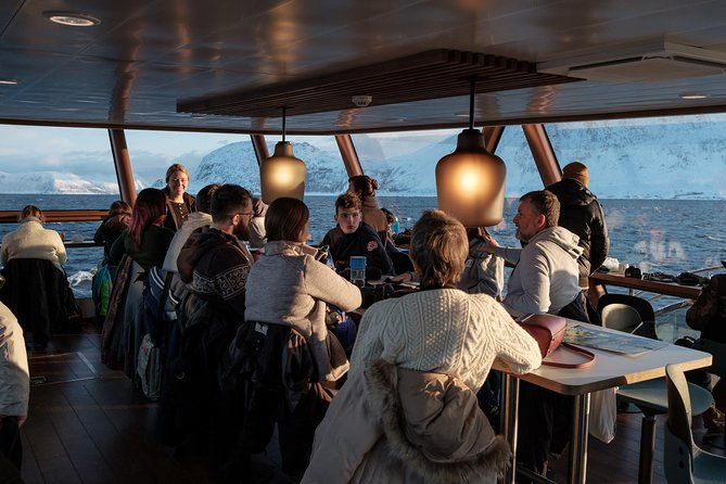 silent-whale-watching