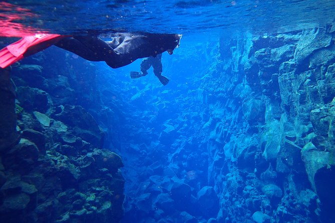 silfra-fissure-snorkeling-from-reykjavik-free-underwater-photos