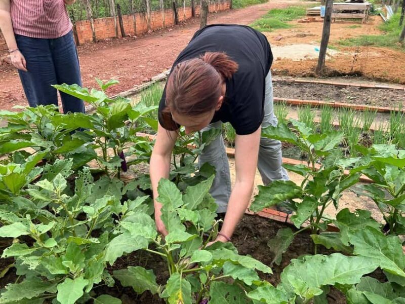 Silk Island Cooking Class & Culinary Vespa Adventure - Exploring the Highlights of the Silk Island & Vespa Adventure