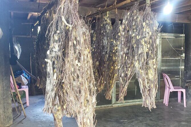 Silk Mekong Island Haft Day Tour - In-Depth Review of the Silk Mekong Island Haft Day Tour