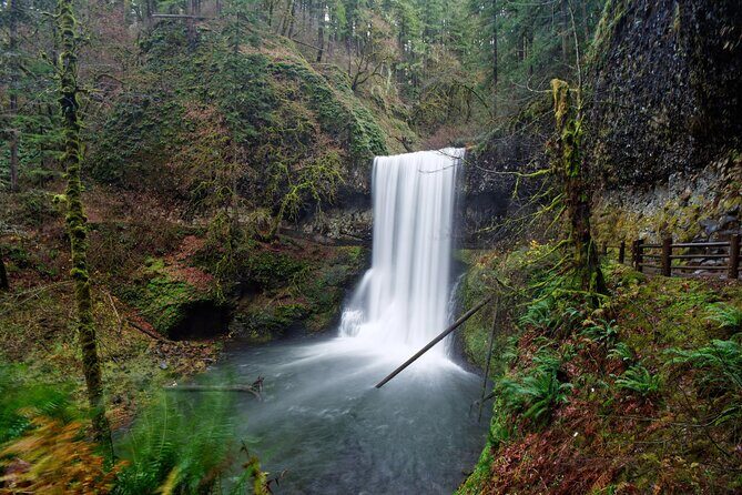 Silver Falls Private Hike Tour - Silver Falls State Park: The Heart of the Tour