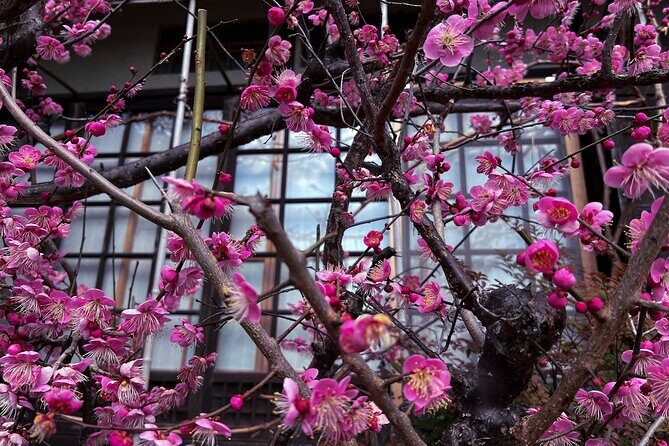 Silver Pavilion the Zen Side of Kyoto - The Sum Up