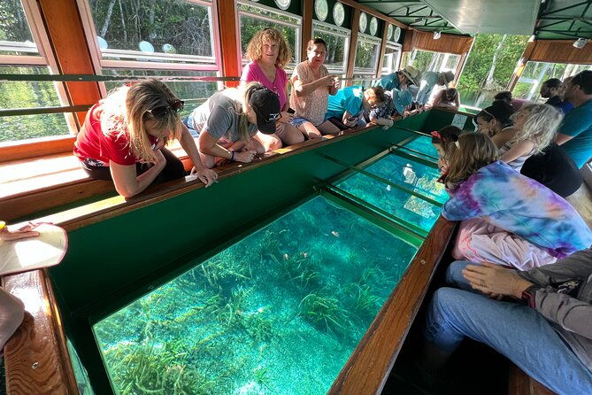 silver-springs-and-glass-bottom-boat-tour-from-orlando