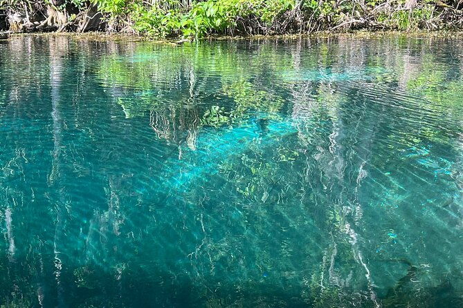 silver-springs-and-glass-bottom-boat-tour-from-orlando