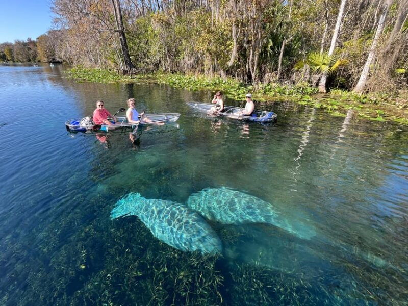 silver-springs-clear-kayak-manatee-season-tour