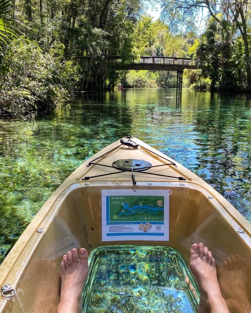Silver Springs: Glass Bottom Kayak and Wildlife Tour - Frequently Asked Questions