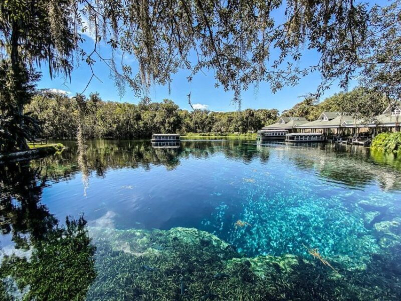 Silver Springs: Glass Bottom Kayak and Wildlife Tour - Final Word
