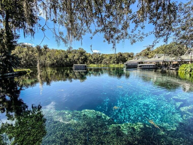 silver-springs-glass-bottom-kayak-and-wildlife-tour
