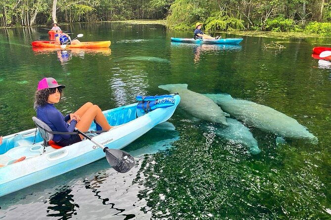 silver-springs-kayak-rental-the-best-florida-adventure