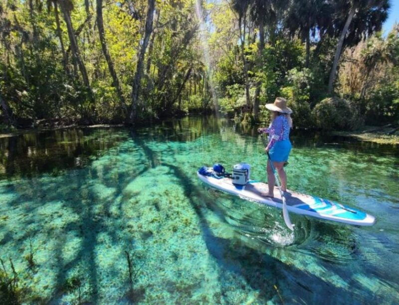 silver-springs-manatees-and-monkeys-clear-kayak-guided-tour