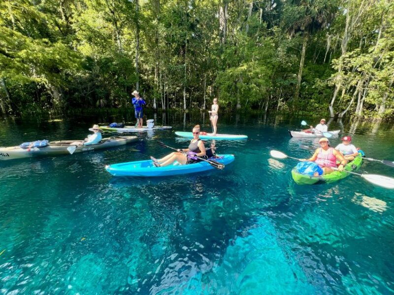 silver-springs-manatees-and-monkeys-clear-kayak-guided-tour