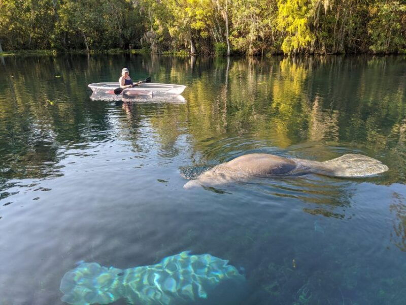 silver-springs-manatees-and-monkeys-clear-kayak-guided-tour