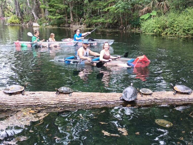 silver-springs-manatees-and-monkeys-clear-kayak-guided-tour