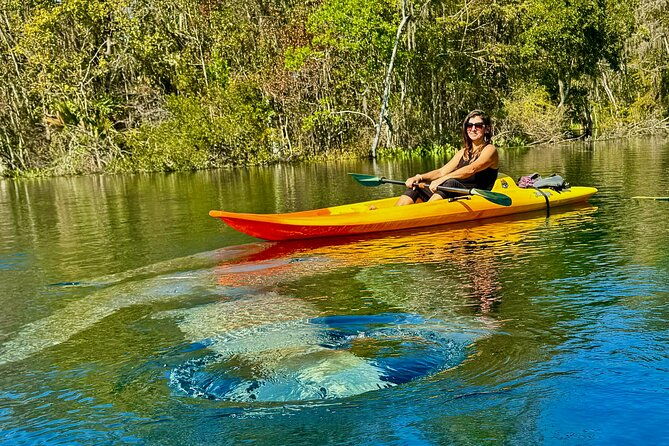 silver-springs-premium-florida-manatee-wildlife-experience