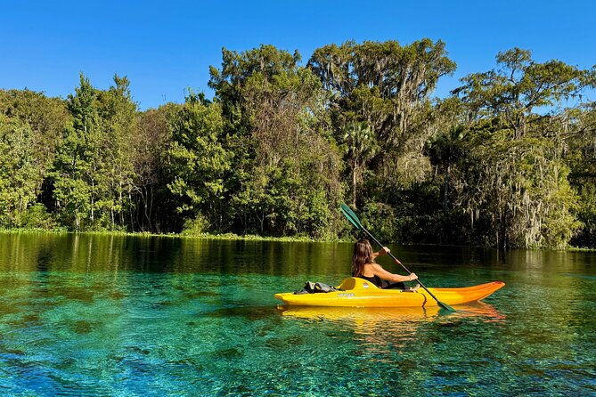 silver-springs-premium-florida-manatee-wildlife-experience