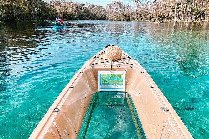 Silver Springs Wildlife Tour - Glass Bottom Kayaks - Who Should Consider This Tour?