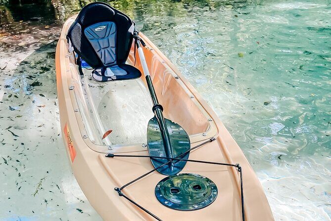 Silver Springs Wildlife Tour - Glass Bottom Kayaks - Wildlife Encounters: What You Might See