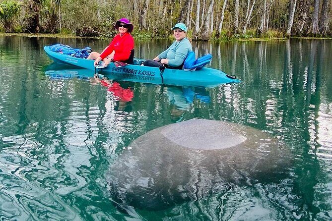 Silver Springs Wildlife Tour - Glass Bottom Kayaks - The Scenery and Underwater Features