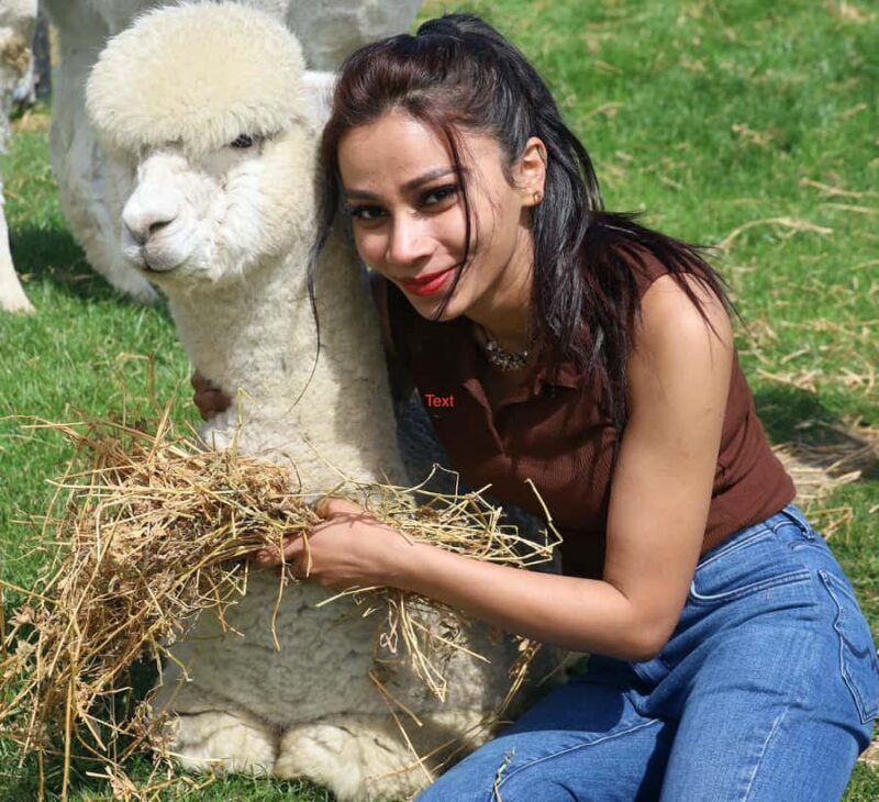 Silverstream Alpaca Farm Tour with Feeding and Guide - Final Thoughts