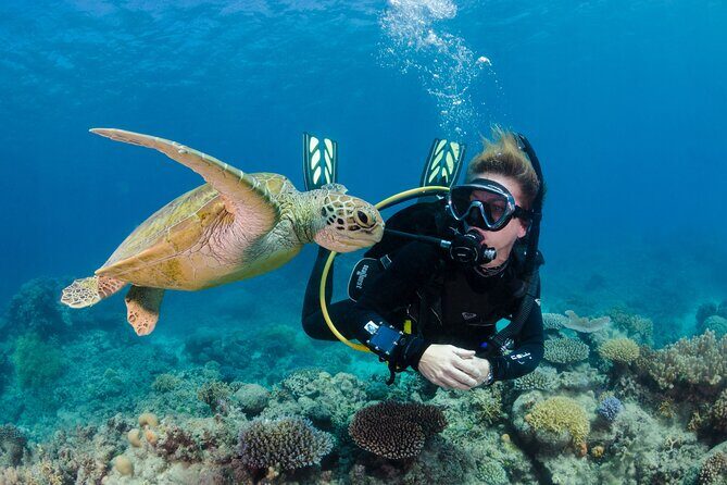 Silverswift Dive and Snorkel Great Barrier Reef Cruise - Final thoughts