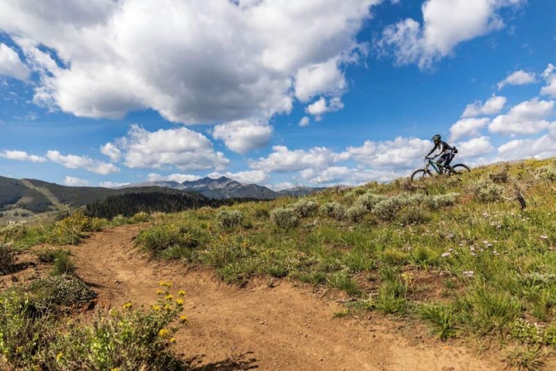 Silverthorne: Mountain Bike Ride Salt Lick Trails - Introduction: What to Expect from the Salt Lick Trail Mountain Bike Tour