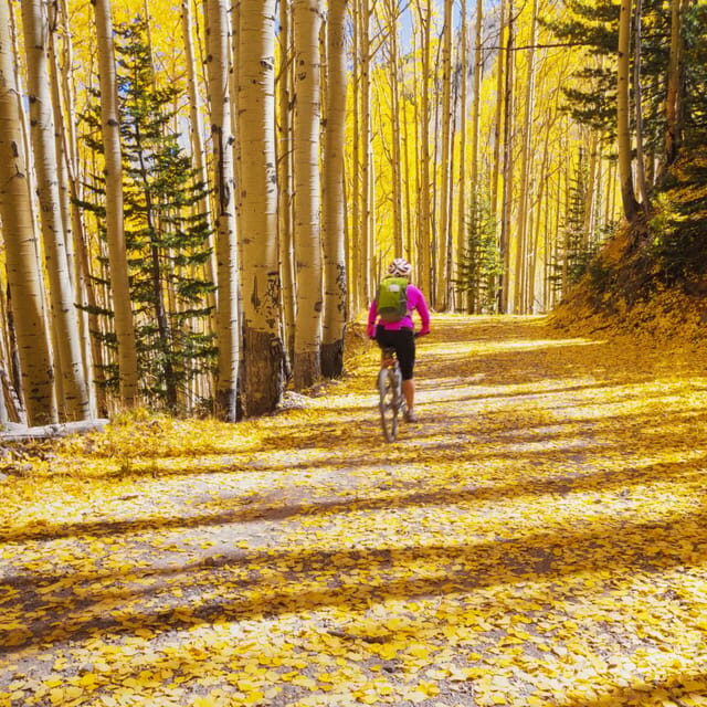 Silverthorne: Mountain Bike Ride Salt Lick Trails - What Makes This Tour Special?