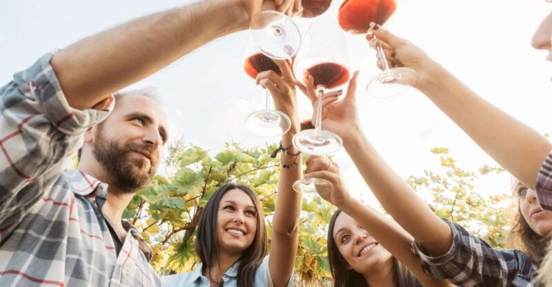 silves-algarvian-winery-tour-and-tasting-experience