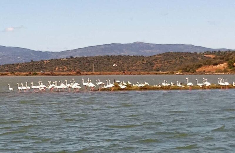 Silves History - Nature Boat Tour - free drink and Port wine - Practical Details