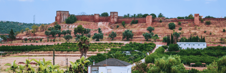 silves-history-nature-boat-tour-on-the-arade-river