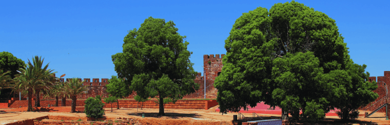 silves-history-nature-boat-tour-on-the-arade-river