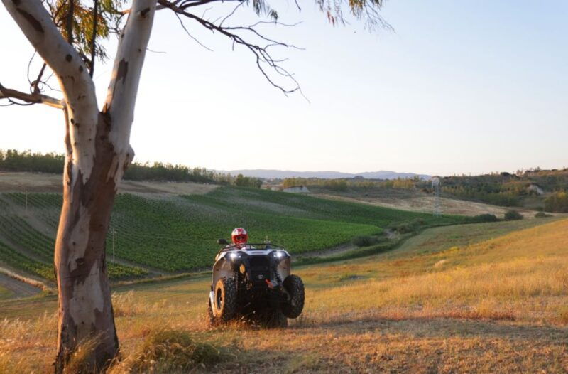 simeri-quad-experience